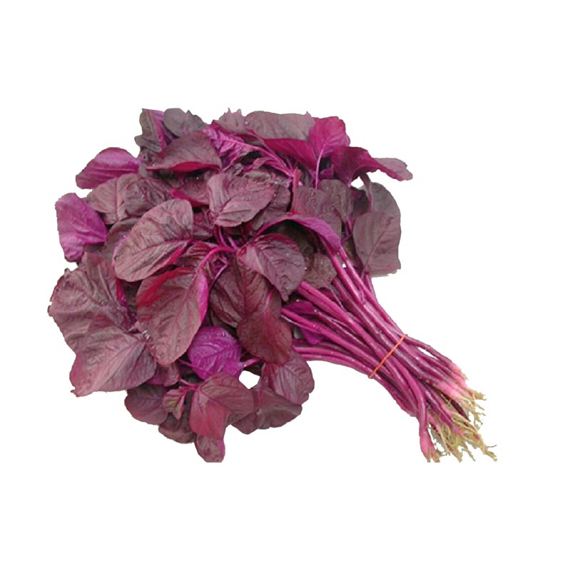Lal Shak (Red Spinach)